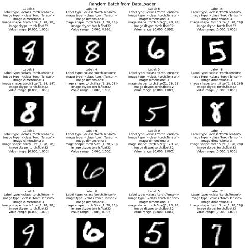 random batch from dataloader